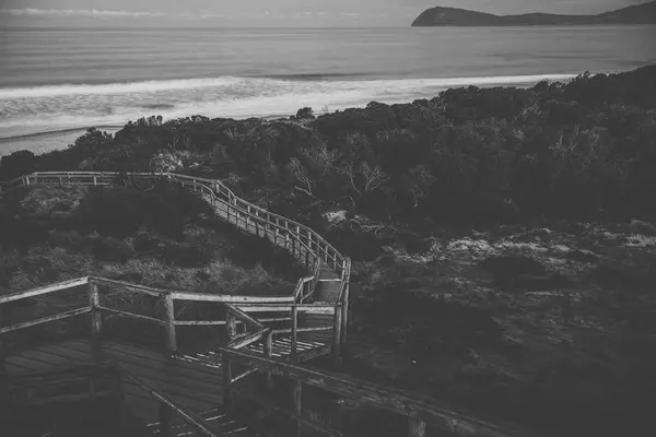 Vista sulla spiaggia di Bruny Island durante il giorno . — Foto Stock