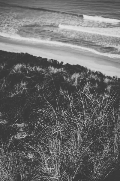 Pohled na Bruny Island beach během dne. — Stock fotografie