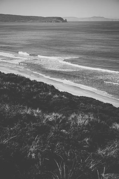 Vista sulla spiaggia di Bruny Island durante il giorno . — Foto Stock