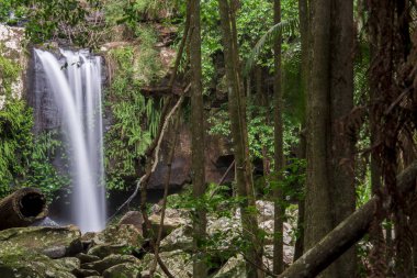 Dağ Tamborine Falls'ta Curtis