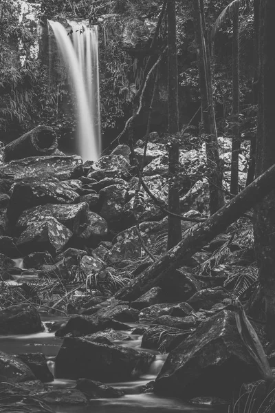 Curtis Falls w Mount Tamborine — Zdjęcie stockowe