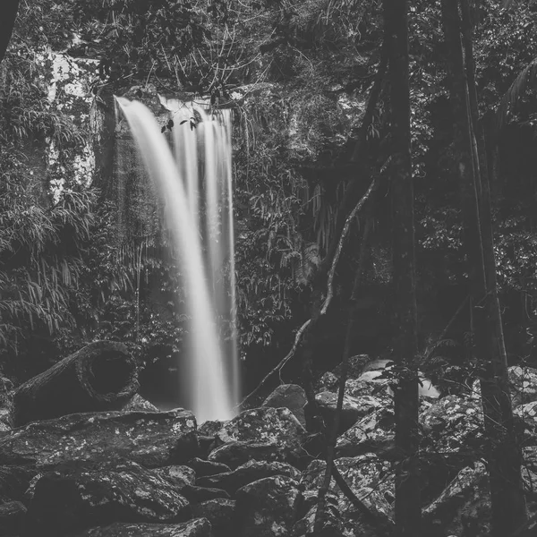 Curtis Falls en el Monte Tamborine — Foto de Stock