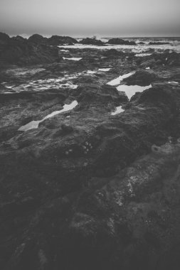 Coolum beach Sunshine Coast adlı