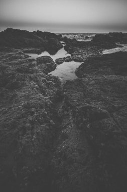 Coolum beach Sunshine Coast adlı