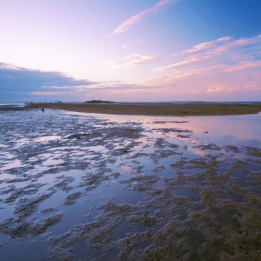 Wellington Burnu'ndaki Brisbane bozulmamış plaj 