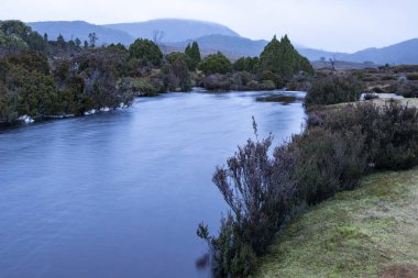 Cradle Mountain Ronnie dereye