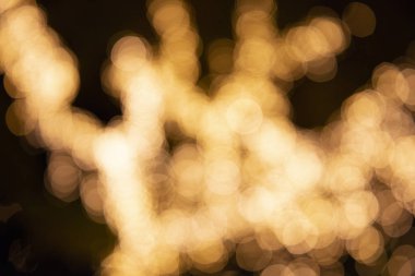 Altın bokeh yakın çekim