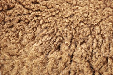 Avustralya koyun yünü