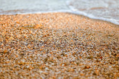 Gerçek bir makro okyanus dokusunun detaylı görüntüsü.