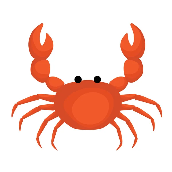 Isolated Orange Crab White Background — Stock Vector