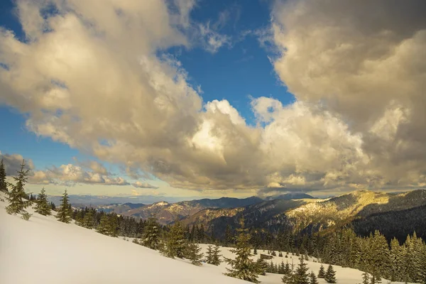 Paesaggio Natalizio Con Abeti Sullo Sfondo Alte Montagne Cielo Nuvoloso — Foto Stock