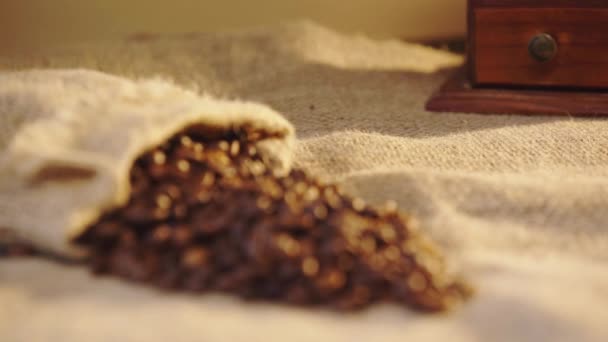 Rack Ostrość Świeżo Parzonej Ziarna Kawy — Wideo stockowe