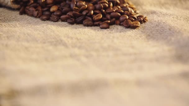 Selective Focus Roasted Coffee Beans Canvas — 비디오