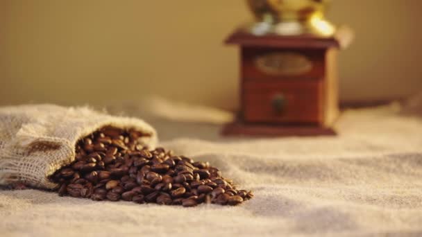 キャンバス上の茶色のコーヒー豆の選択的な焦点 — ストック動画