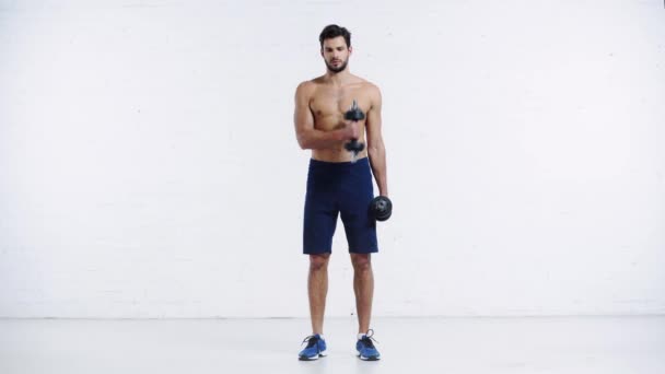 Sportsman Exercising Dumbbells White Background — Stock Video