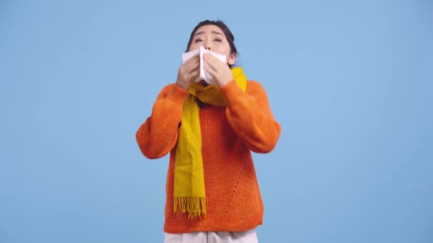 Ziek Aziatisch Meisje Niezen Geïsoleerd Blauw — Stockvideo