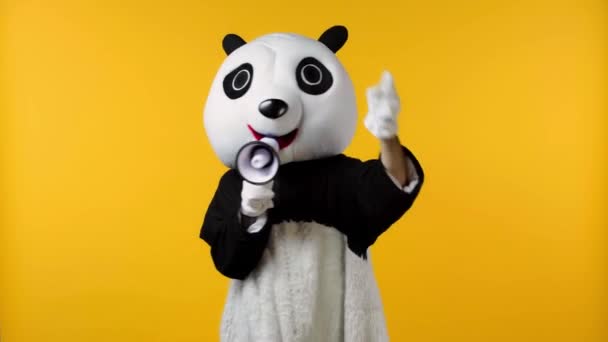 Πρόσωπο Στο Κοστούμι Panda Αρκούδα Εκμετάλλευση Μεγάφωνο Απομονωμένο Κίτρινο — Αρχείο Βίντεο