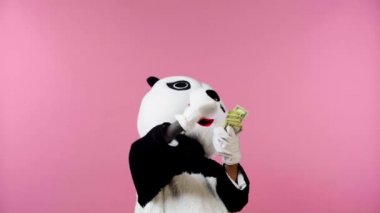 Panda kostümlü bir insan pembeye izole edilmiş havadan para atıyor. 