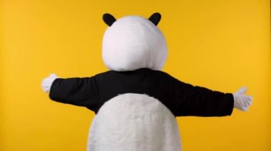 Panda kostümlü bir insan, sarı renkte dönüp duruyor. 