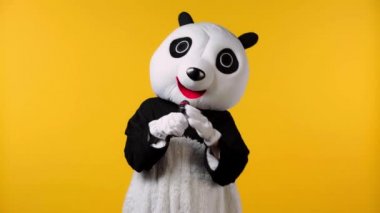 Panda kostümlü insan mikrofonu sarıda tutuyor. 