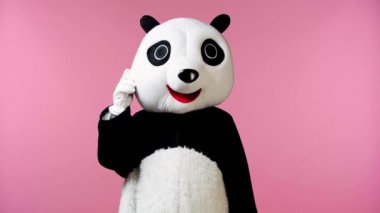 Panda kostümlü insan pembe üzerinde izole edilmiş el kol hareketi yapıyor. 