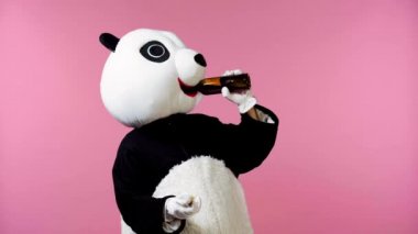Panda kostümlü, şarap içip pembe üzerinde dans eden biri. 