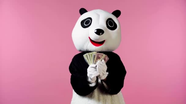 Person Pandabären Kostüm Winkt Geld Isoliert Auf Rosa — Stockvideo
