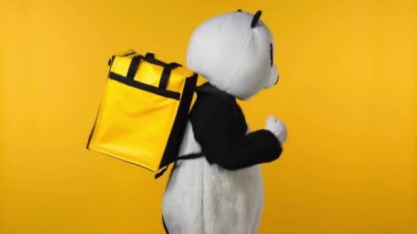 Persoon Panda Beer Kostuum Met Rugzak Lopen Geïsoleerd Geel — Stockvideo