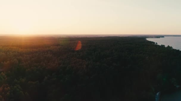 海と太陽の近くの緑の森の空中風景 — ストック動画