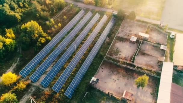 Vista Aerea Pannelli Solari Luce Solare Campo Vicino Alla Foresta — Video Stock