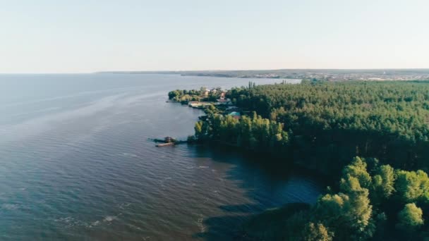 Antenni Näkymä Vihreä Metsä Meri Horisontti — kuvapankkivideo