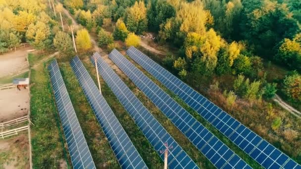 森林附近田野里蓝色太阳能电池板和阳光的空中景观 — 图库视频影像
