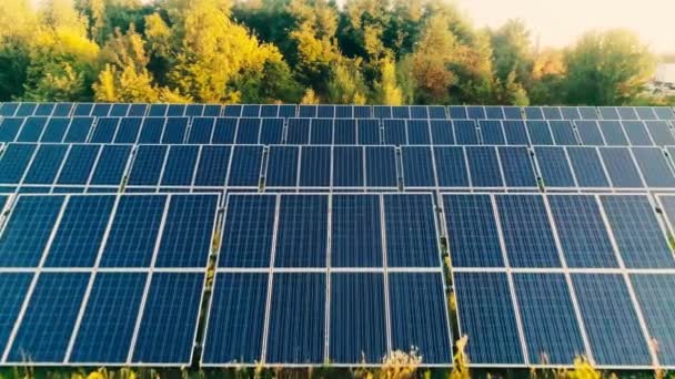 蓝色太阳能电池板和树木的空中景观 — 图库视频影像