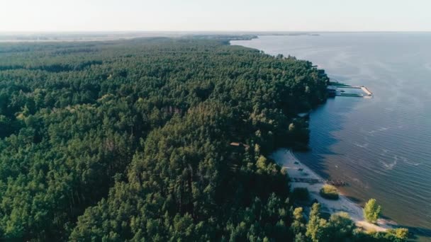 Vista Aerea Orizzonte Foresta Verde Vicino Mare — Video Stock