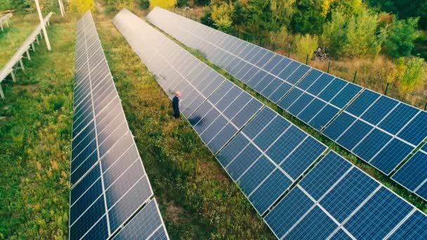 森林の近くのフィールドに太陽電池パネルの近くの人間の空中ビュー — ストック動画