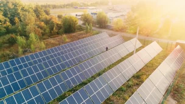 Vista Aérea Luz Solar Campo Con Paneles Solares Cerca Del — Vídeo de stock