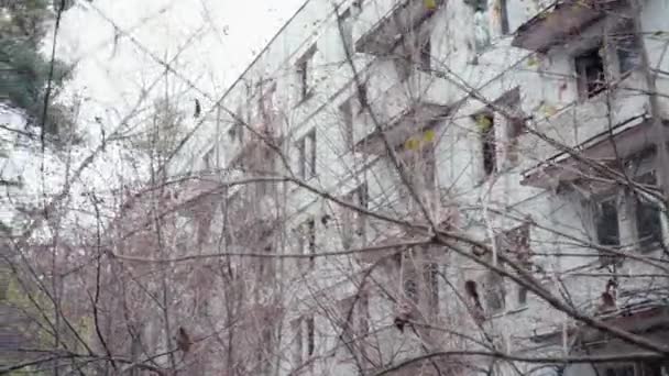 Low Angle View Branches Abandoned Building Chernobyl Ukraine — Stock Video