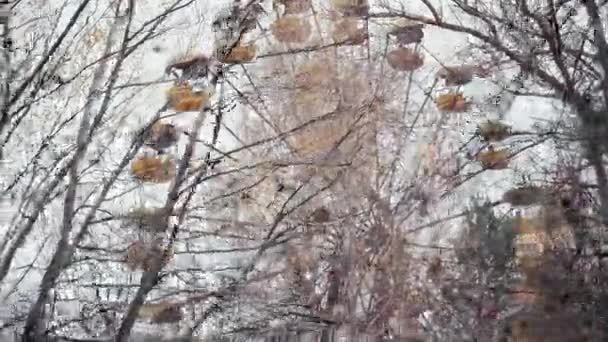 ウクライナのチェルノブイリで放棄された観覧車の近くの木 — ストック動画
