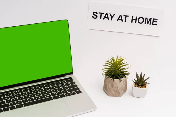 stock image laptop with green screen near plants and paper with stay at home lettering isolated on white 