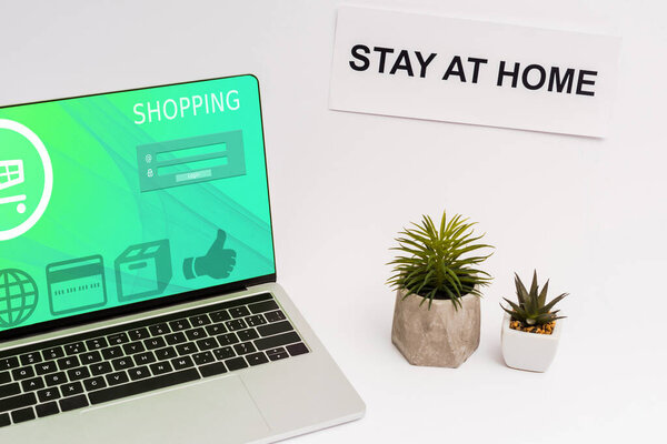 ноутбук с веб-сайт покупок на экране рядом с растениями и бумагой с пребывание дома буквы на белом
  