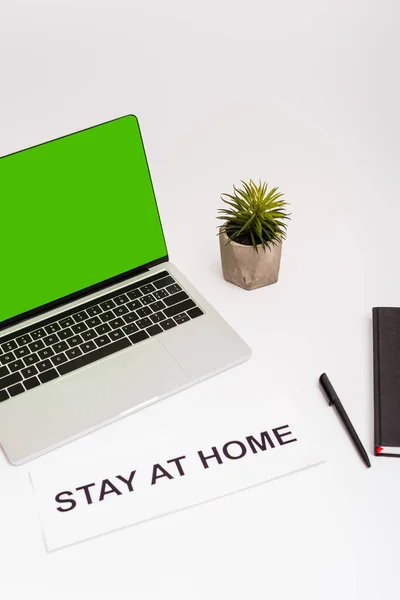 laptop with green screen near green plant, pen, notebook and paper with stay at home lettering isolated on white