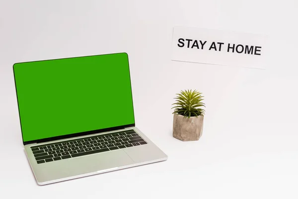 stock image laptop with green screen near plant and paper with stay at home lettering on white 