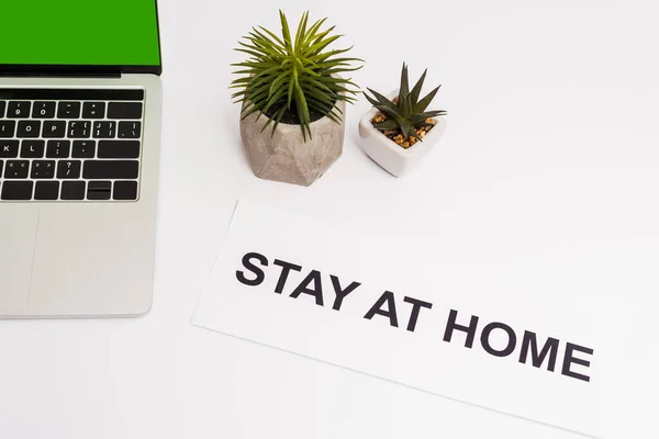 Vista superior de la computadora portátil con pantalla verde cerca de las plantas y el papel con la estancia en casa letras aisladas en blanco - foto de stock