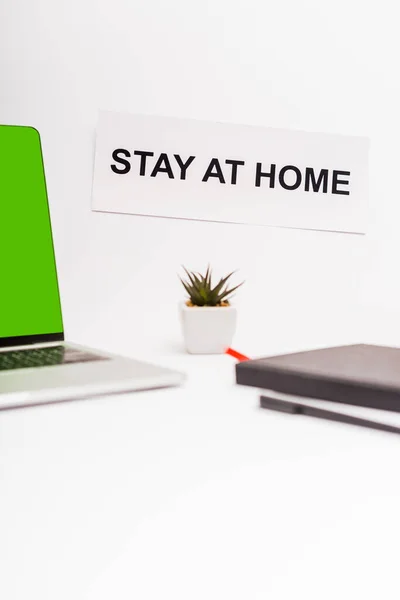 Foco seletivo de laptop com tela verde perto de planta, notebook, caneta e papel com estadia em casa lettering em branco — Fotografia de Stock