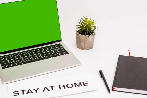 Portátil con pantalla verde cerca de la planta, pluma, cuaderno y papel con la estancia en casa letras aisladas en blanco - foto de stock