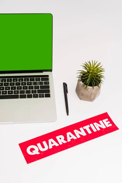 Laptop with green screen near plant, pen and paper with quarantine lettering isolated on white — Stock Photo