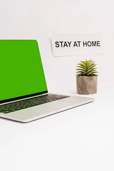 Computer portatile con schermo verde vicino a piante e carta con soggiorno a casa lettering isolato su bianco — Foto stock