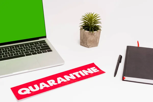 Ordinateur portable avec écran vert près de la plante, stylo, ordinateur portable et papier avec lettrage de quarantaine sur blanc — Photo de stock