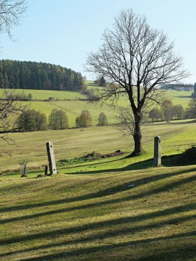 Podzimni krajina se stromem na Vysocine