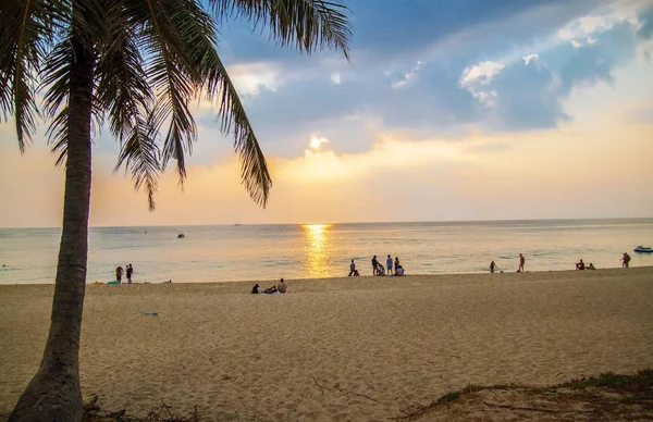 Tropikalne Palmy Błękitnym Niebem Plaży — Zdjęcie stockowe